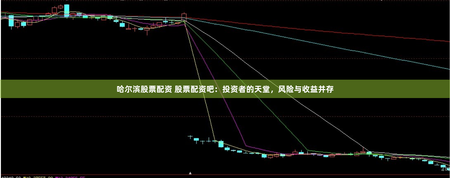 哈尔滨股票配资 股票配资吧：投资者的天堂，风险与收益并存