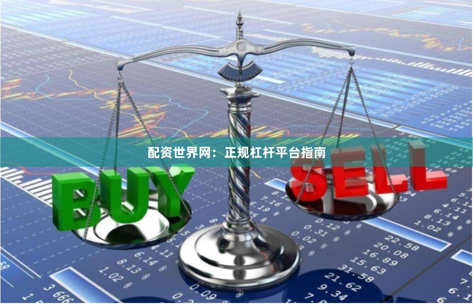 配资世界网：正规杠杆平台指南